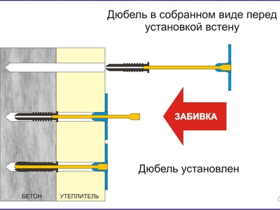 Как вытащить грибок из утеплителя